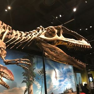 Meet your Posher, Nick